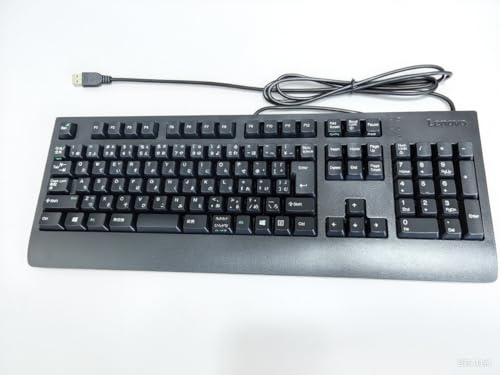 Lenovo レノボジャパン　USB キーボード 41kwl9i+ehL.jpg